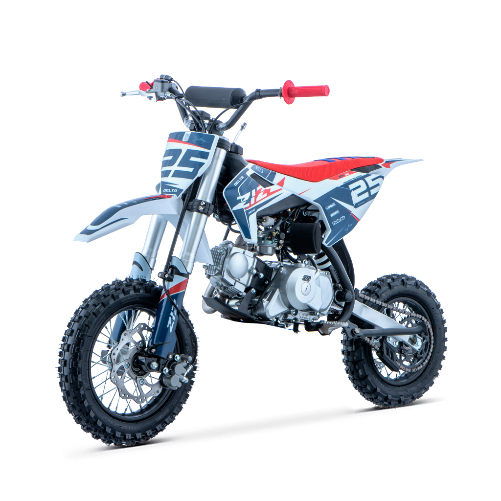 PIT BIKE 90CC 4T AUTOMATICO 12/10 DELTA ZIZ RACING_2536.jpg