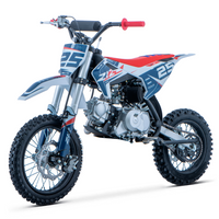 PIT BIKE 110CC 4T AUTOMATICO 14/12 DELTA ZIZRACING_2649.jpg