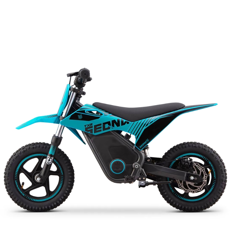 MINIMOTO ELÉCTRICA 250W SEDNA TXR R12/12\"_2503.jpg