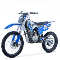 PIT BIKE ZIZ RACING BRAVO 250CC 4T RUEDAS 21/18_5634.jpg