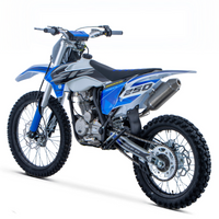 PIT BIKE ZIZ RACING BRAVO 250CC 4T RUEDAS 21/18_5636.jpg