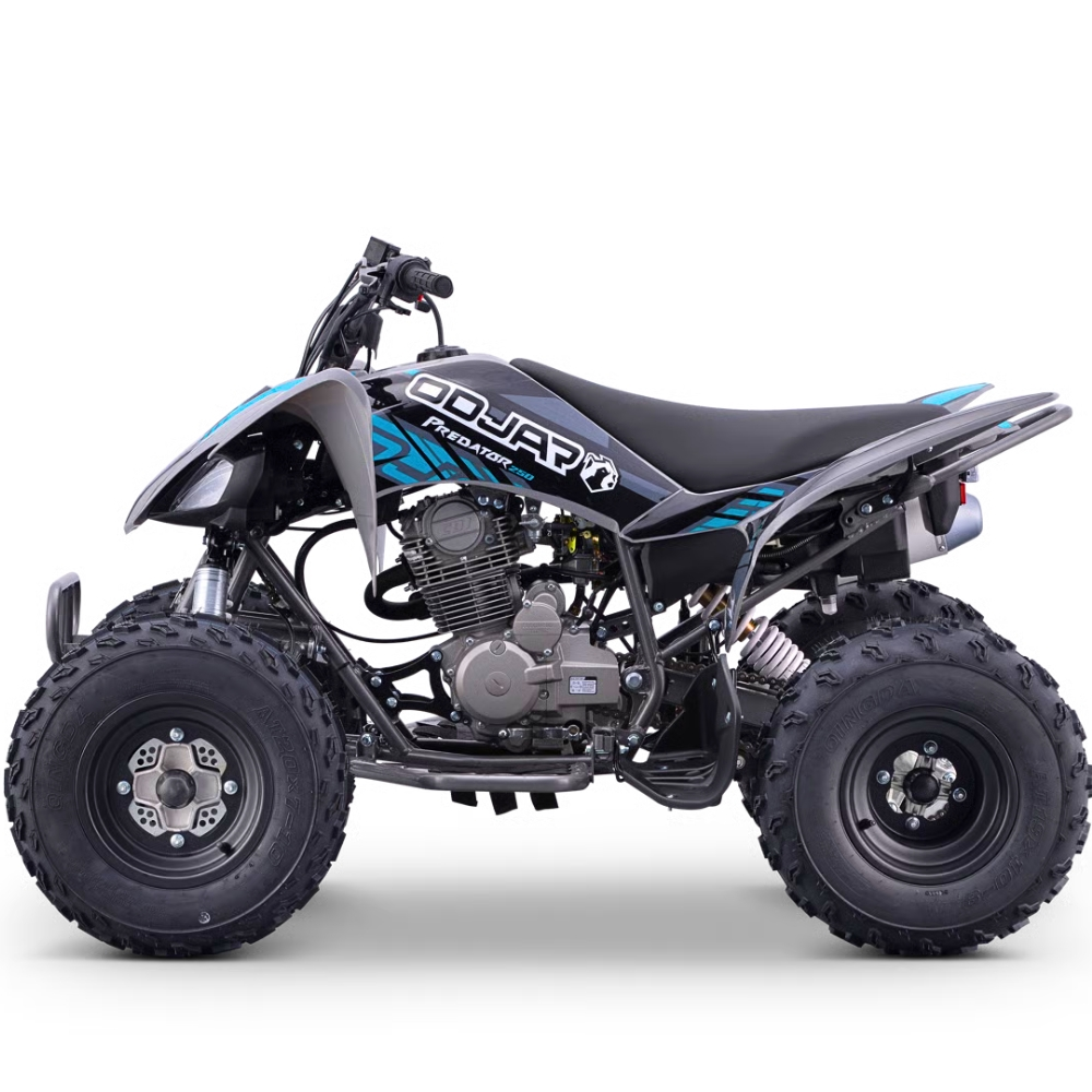 QUAD ODJAR 250CC 4T PREDATOR VOLT R10/9_2510.jpg