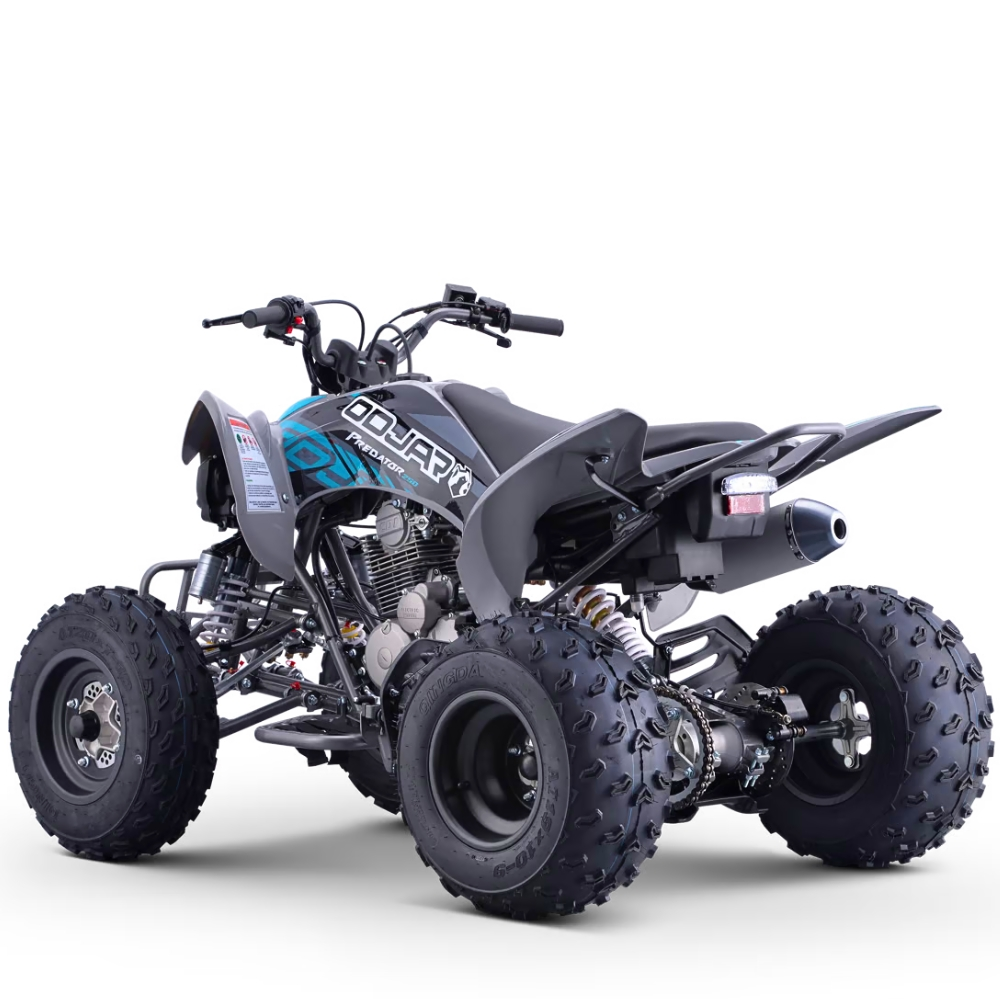QUAD ODJAR 250CC 4T PREDATOR VOLT R10/9_2511.jpg