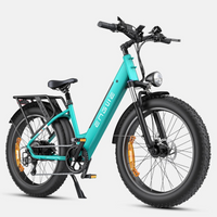 BICICLETA ELECTRICA ENGWE E26  250W 48V 13AH_2603.jpg