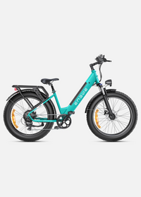 BICICLETA ELECTRICA ENGWE E26  250W 48V 13AH_2605.jpg