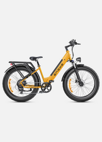 BICICLETA ELECTRICA ENGWE E26  250W 48V 13AH_2606.jpg
