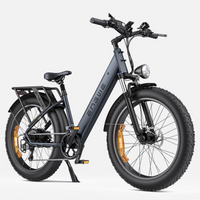BICICLETA ELECTRICA ENGWE E26  250W 48V 13AH_2614.jpg