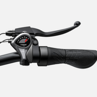 BICICLETA ELECTRICA ENGWE E26  250W 48V 13AH_2615.jpg