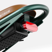 BICICLETA ELECTRICA ENGWE M20 DUAL 250W 48V 13AH_2574.jpg