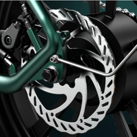 BICICLETA ELECTRICA ENGWE M20 DUAL 250W 48V 13AH_2584.jpg