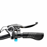 BICICLETA ELÉCTRICA EP-2 BOOST 250W 48V 13AH_4588.jpg