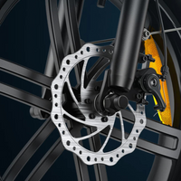 BICICLETA ELÉCTRICA EP-2 BOOST 250W 48V 13AH_4593.jpg