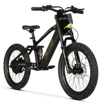 BICI ELECTRICA EOS-20 550W 36V 7.5AH ZIZ.RACING_5807.jpg
