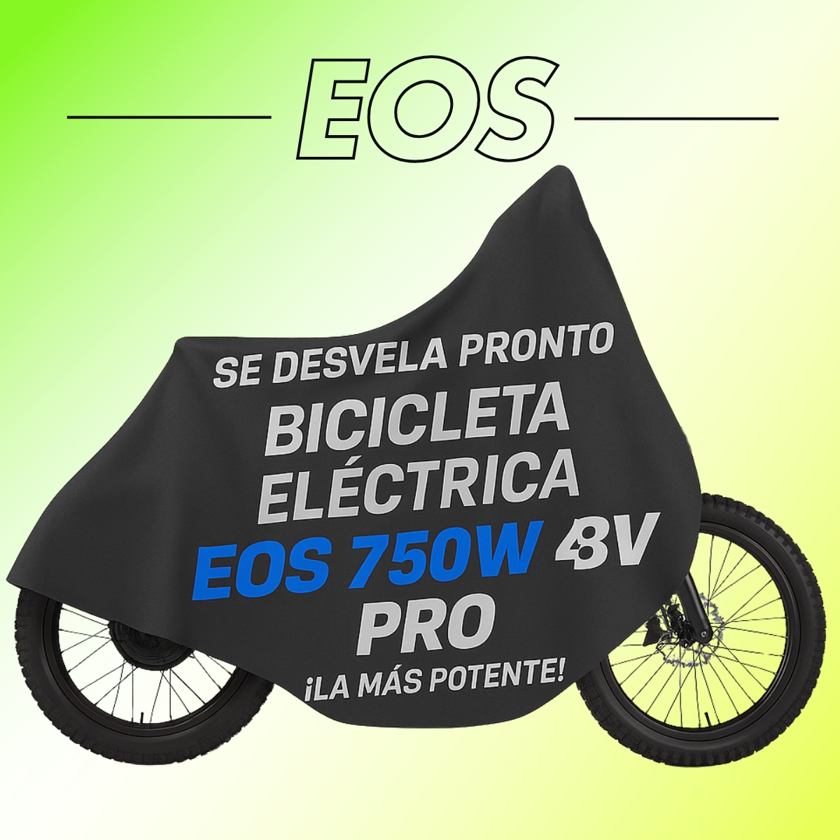 BICI ELECTRICA EOS PRO R20 750W 48V ZIZ.RACING_2821.jpg