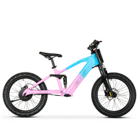 BICI ELECTRICA EOS PRO R20 750W 48V ZIZ.RACING_5710.jpg