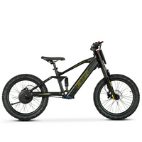 BICI ELECTRICA EOS PRO R20 750W 48V ZIZ.RACING_5712.jpg