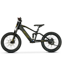 BICI ELECTRICA EOS PRO R20 750W 48V ZIZ.RACING_5713.jpg