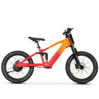 BICI ELECTRICA EOS PRO R20 750W 48V ZIZ.RACING_5714.jpg