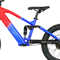 BICI ELECTRICA EOS PRO R20 750W 48V ZIZ.RACING_5721.jpg