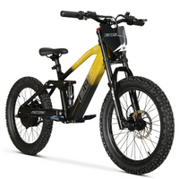 BICI ELECTRICA EOS PRO R20 750W 48V ZIZ.RACING_5722.jpg
