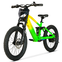 BICI ELECTRICA EOS PRO R20 750W 48V ZIZ.RACING_5729.jpg