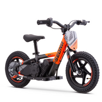 BICI ELECTRICA SEDNA MX12 100W 24V 2.6AH BRUSHLESS_2137.jpg