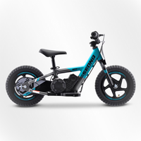 BICI ELECTRICA SEDNA MX12 100W 24V 2.6AH BRUSHLESS_907.jpg