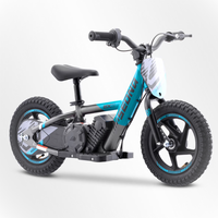 BICI ELECTRICA SEDNA MX12 100W 24V 2.6AH BRUSHLESS_909.jpg