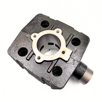 CILINDRO MINICROSS 50CC 2T DE 9CV SX-MX_4477.jpg