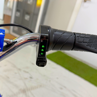 MINICROSS ELÉCTRICA R8 350W 36V FURIOUS BLUETOOTH_2909.jpg