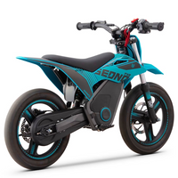 MINIMOTO ELÉCTRICA 500W SEDNA TXR R14 SUPERMOTARD_2495.jpg