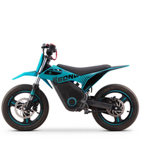 MINIMOTO ELÉCTRICA 500W SEDNA TXR R14 SUPERMOTARD_2497.jpg