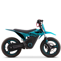 MINIMOTO ELÉCTRICA 500W SEDNA TXR R14 SUPERMOTARD_2500.jpg