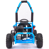 MINI BUGGY GASOLINA 98CC 4T MOD MR.RACING R6\"_874.jpg