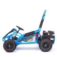 MINI BUGGY GASOLINA 98CC 4T MOD MR.RACING R6\"_876.jpg