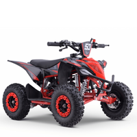 MINI QUAD GASOLINA 49CC 2T BOOSTER KRX R6_2872.jpg