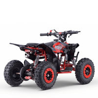 MINI QUAD GASOLINA 49CC 2T BOOSTER KRX R6_2873.jpg