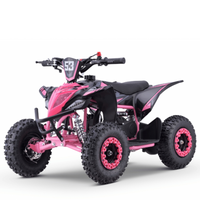 MINI QUAD GASOLINA 49CC 2T BOOSTER KRX R6_2877.jpg