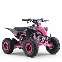 MINI QUAD GASOLINA 49CC 2T BOOSTER KRX R6_2878.jpg