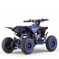 MINI QUAD GASOLINA 49CC 2T BOOSTER KRX R6_2883.jpg