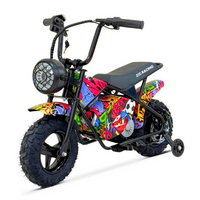MINI SCOOTER 350W 36V MULTICOLOR RUBST ZIZ.R_2922.jpg