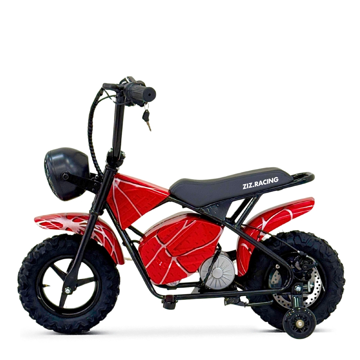 MINI SCOOTER 350W 36V MULTICOLOR RUBST ZIZ.R_2927.jpg