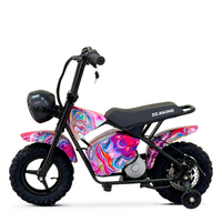 MINI SCOOTER 350W 36V MULTICOLOR RUBST ZIZ.R_2928.jpg