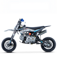 PIT BIKE 70CC 4T X-PRO ZIZ.RACING AUTOMÁTICA 10\"_5645.jpg