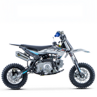 PIT BIKE 70CC 4T X-PRO ZIZ.RACING AUTOMÁTICA 10\"_5646.jpg