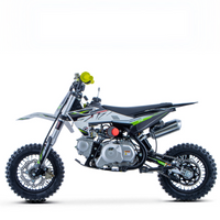 PIT BIKE 70CC 4T X-PRO ZIZ.RACING AUTOMÁTICA 10\"_5657.jpg
