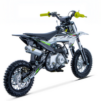 PIT BIKE 70CC 4T X-PRO ZIZ.RACING AUTOMÁTICA 10\"_5660.jpg