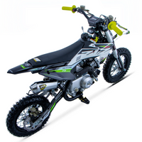 PIT BIKE 70CC 4T X-PRO ZIZ.RACING AUTOMÁTICA 10\"_5661.jpg