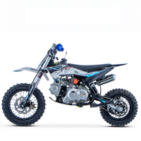 PIT BIKE 90CC 4T X-PRO ZIZ.RACING AUTOMÁTICA 12\"_5664.jpg