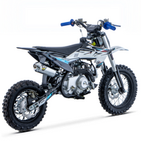 PIT BIKE 90CC 4T X-PRO ZIZ.RACING AUTOMÁTICA 12\"_5665.jpg